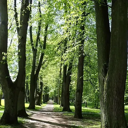Eywa
